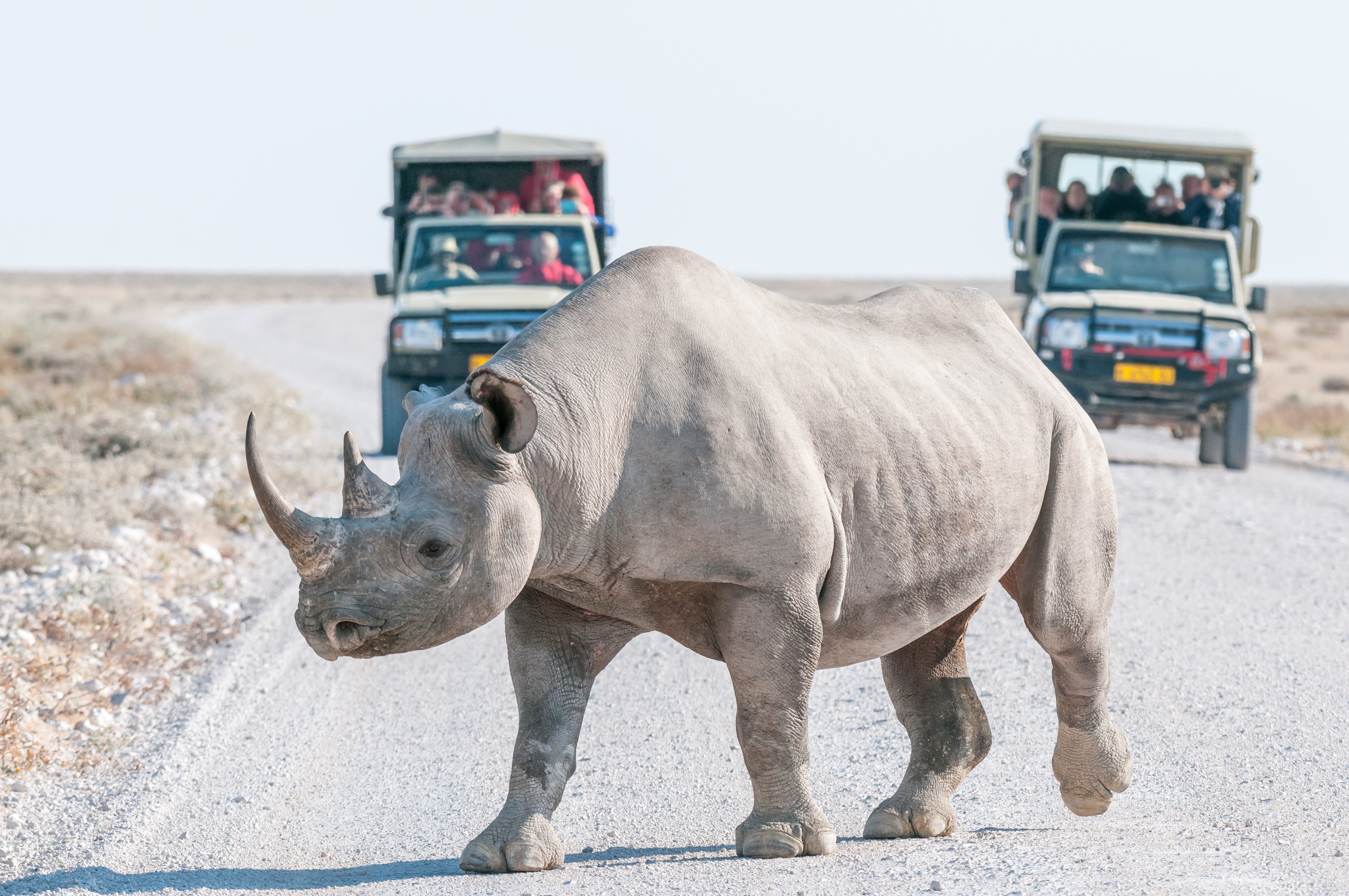 {{ dest.name }}