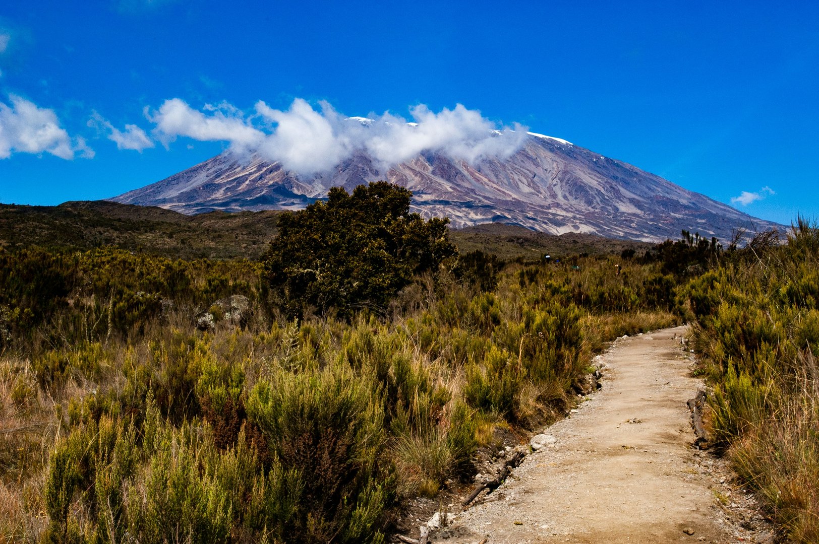 Kilimanjaro National Park