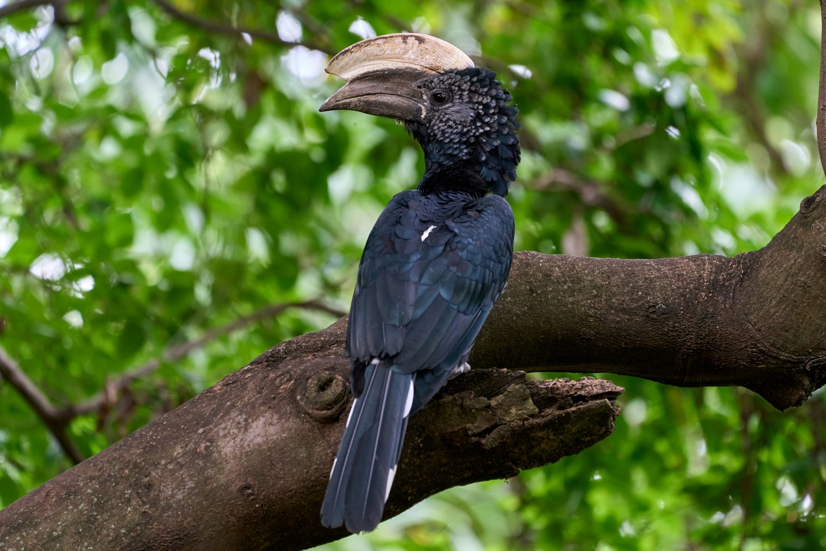 Lake Manyara National Park
