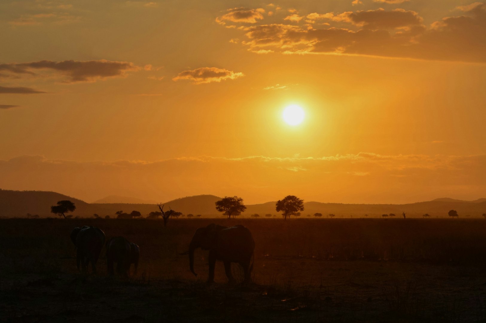 Serengeti National Park