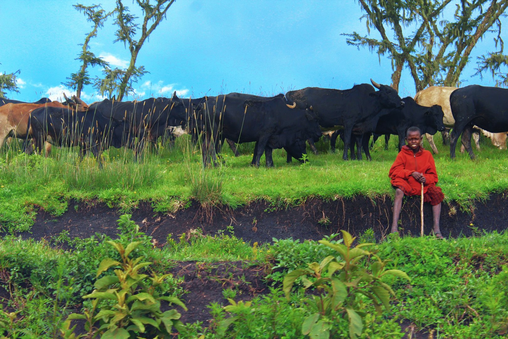 Ngorongoro Conservation Area