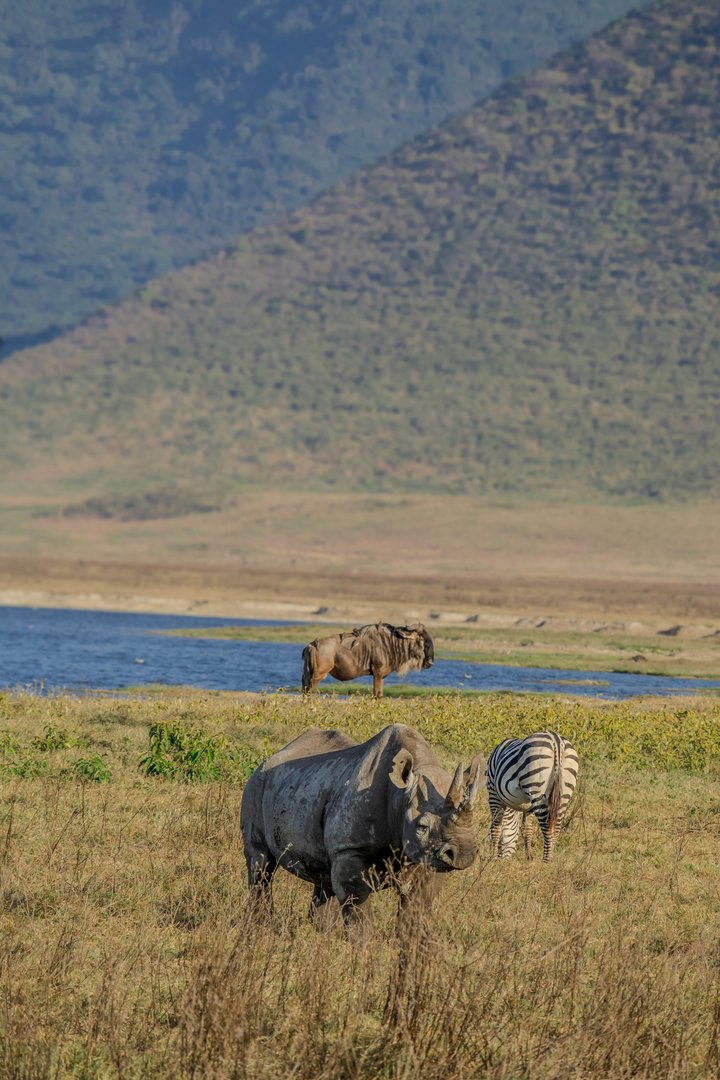 Ngorongoro Conservation Area