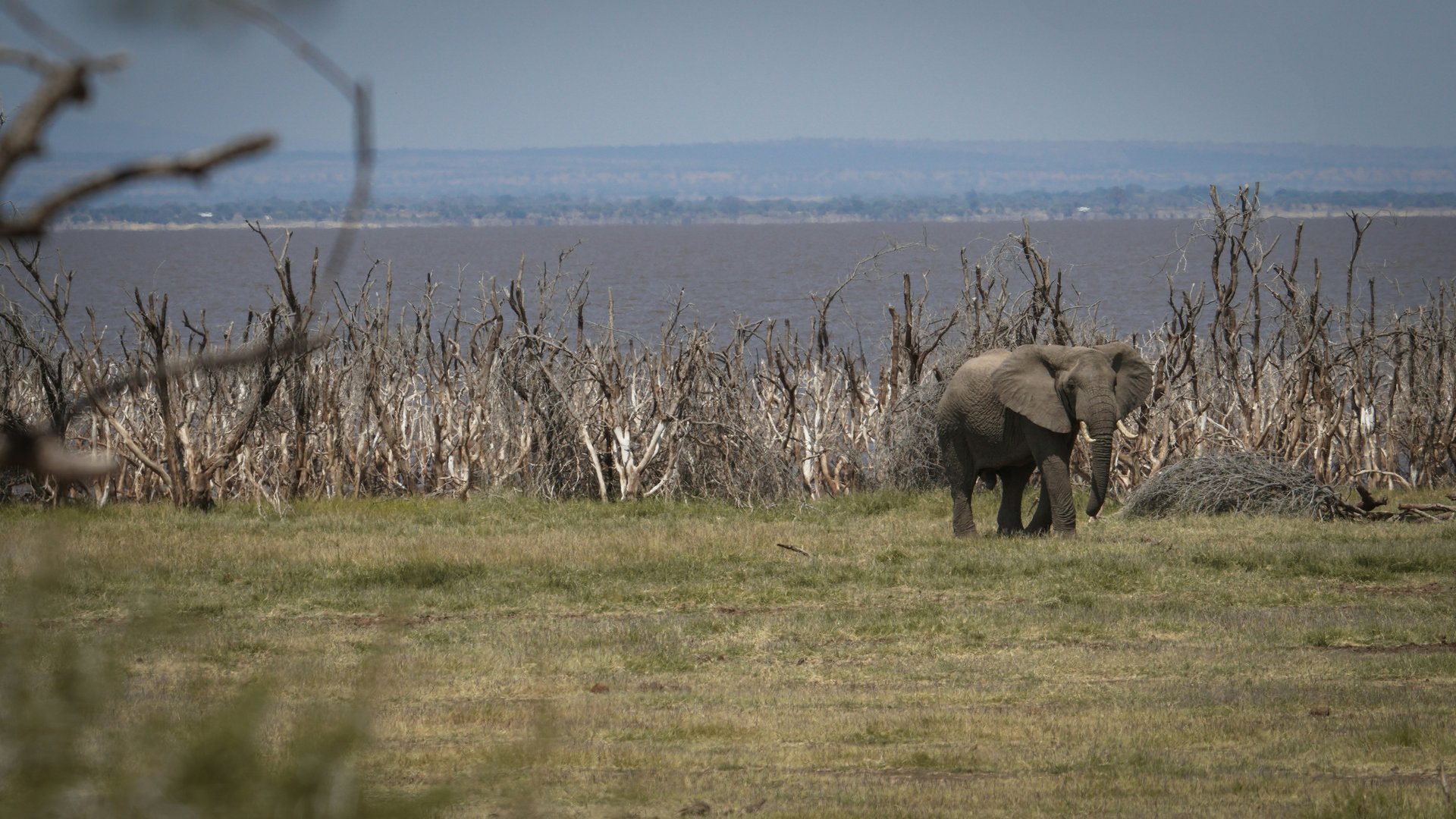 Lake Manyara National Park