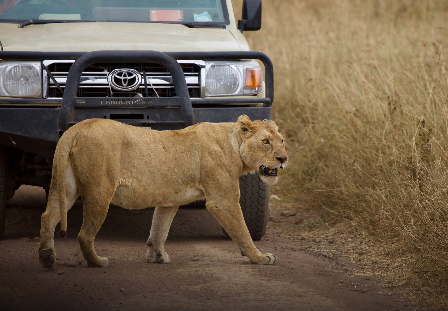 The Best of Tanzania